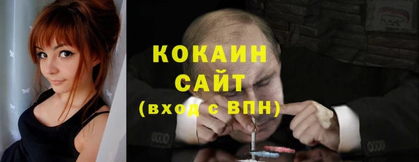 СК Алексин